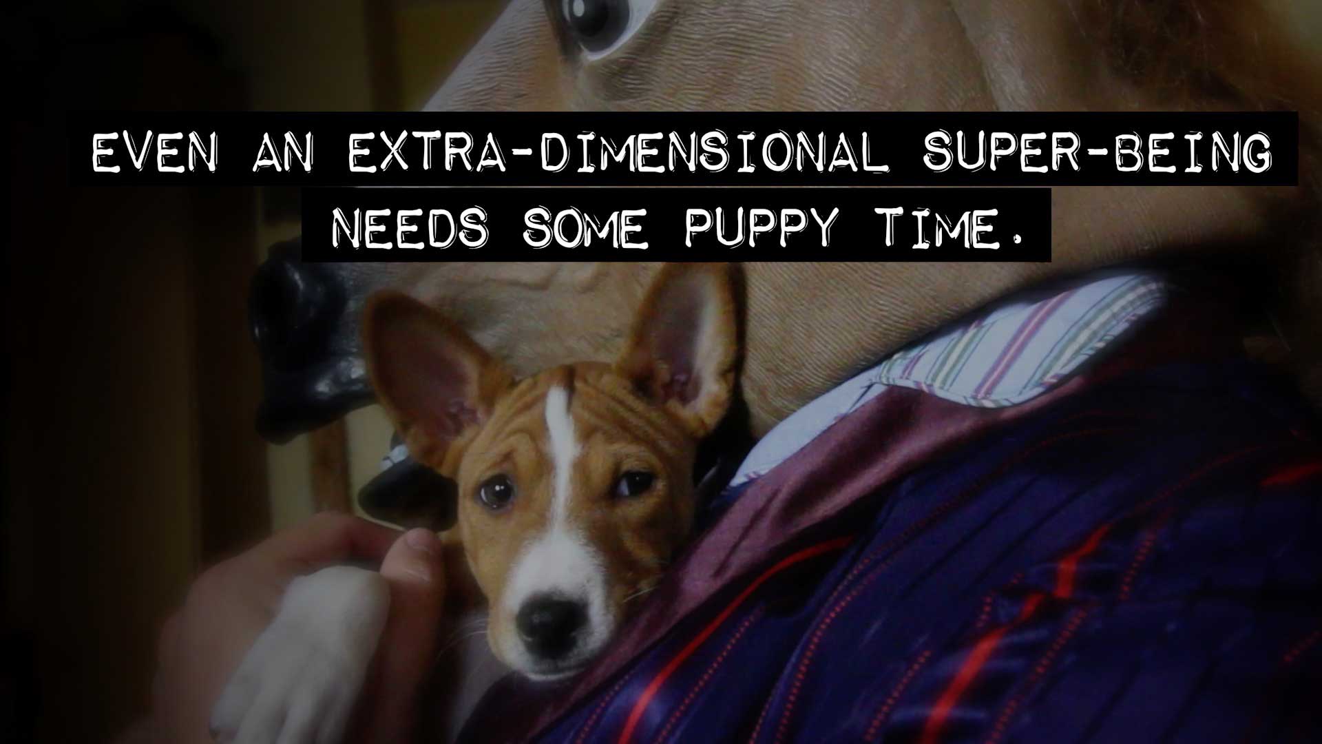 Horse Head holding a puppy. Text: Even an extra-dimensional super-being needs some puppy time.