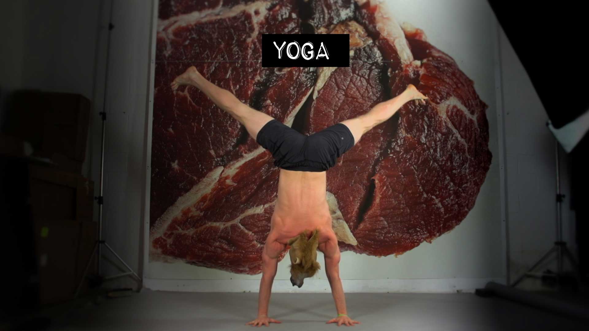 Horse Head does a hand stand in front of a huge photograph of raw meat. Text: Yoga